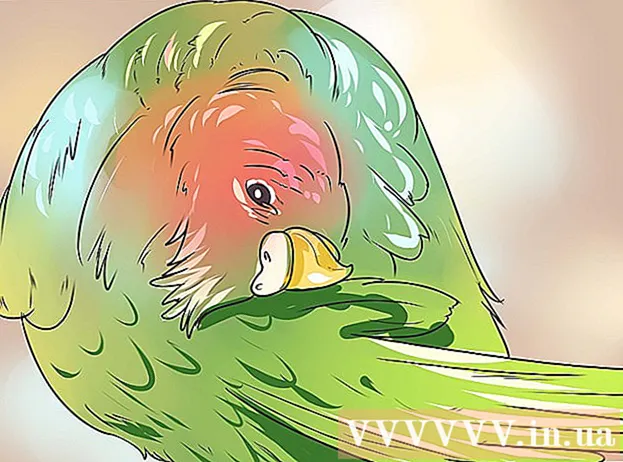 कैसे एक चिड़िया का घोंसला स्नान करने के लिए
