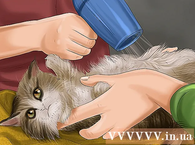 Hoe u uw kat kunt wassen