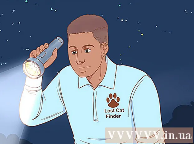 Hogyan lehet megtalálni az elveszett macskát