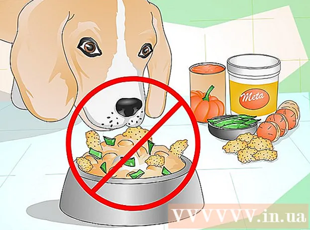 Wie Sie mehr Ballaststoffe in die Ernährung Ihres Hundes aufnehmen können