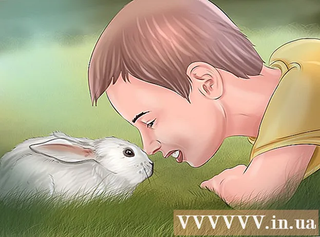 토끼와 유대감을 형성하는 방법