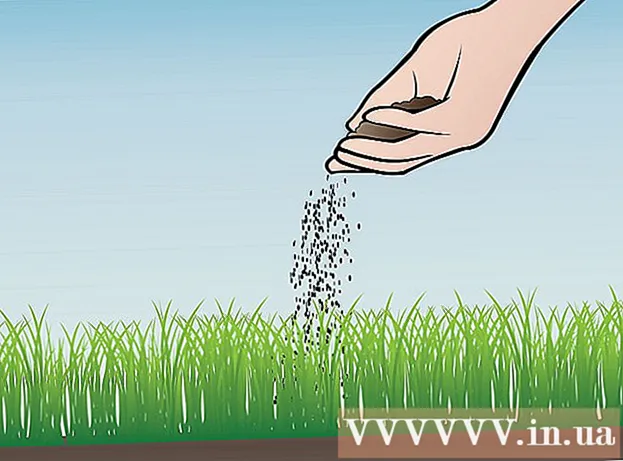Как создать зеленую траву