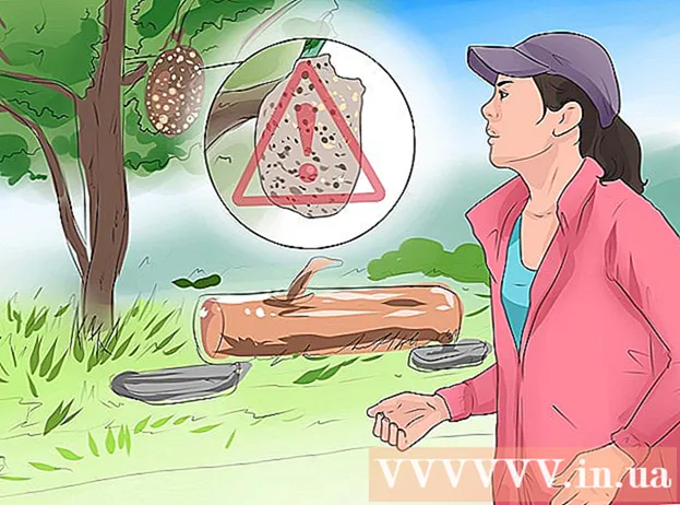 כיצד לטפל בעקיצות חרקים