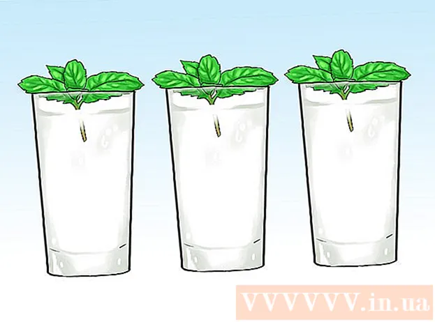 Como cultivar hortelã em vasos