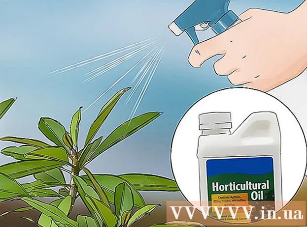 Hur man odlar porslinsväxter från grenar