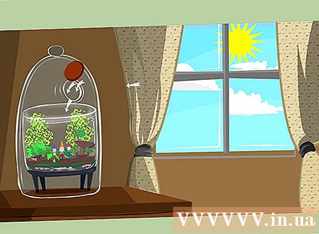 نحوه کاشت گیاهان در گلدان های شیشه ای