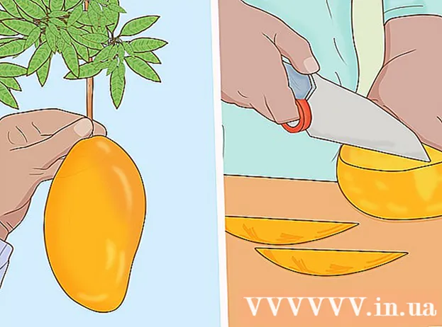 Hvordan plante et mangotre