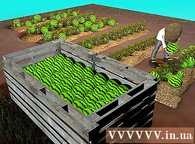 Πώς να καλλιεργήσετε καρπούζι