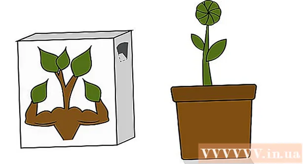 Πώς να καλλιεργήσετε ηλίανθο σε γλάστρες