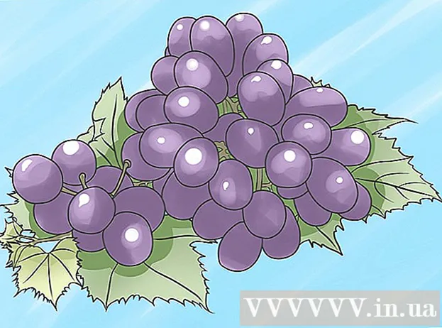 Weeër fir Vines ze wuessen