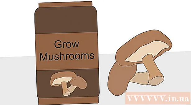Si të rritni kërpudha në ambiente të mbyllura