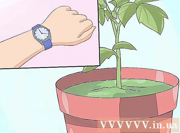 Способы выращивания мха