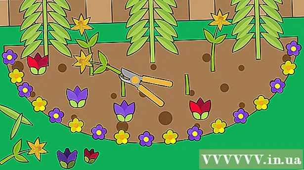 Как да засадите цветна градина