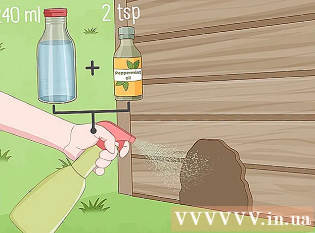 Kā padzīt žurkas no mājas