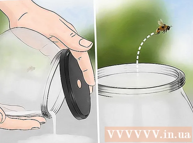 Hur man driver en honungsbiet ut ur huset