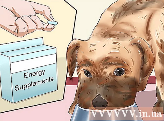 Πώς να παχύνει ένα σκυλί
