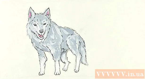 Com dibuixar un llop