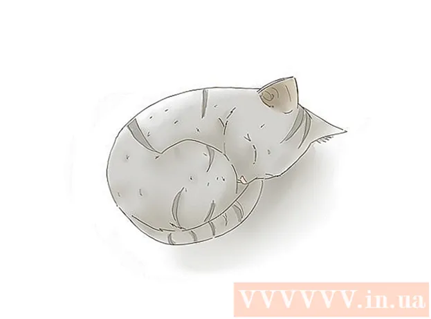 Bagaimana Menggambar Anak Kucing