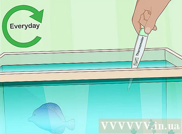 Kako očistiti akvarij