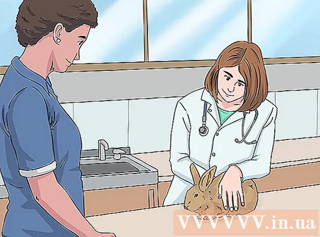 Как определить пол кролика