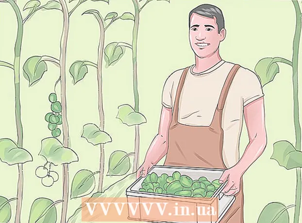 How to become a farmer without experience