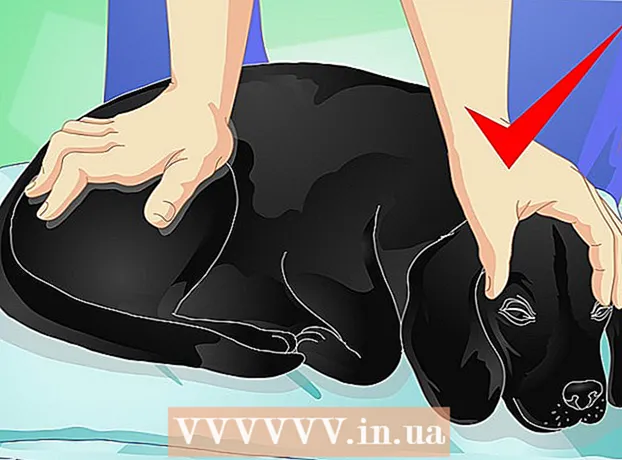 How to massage a dog