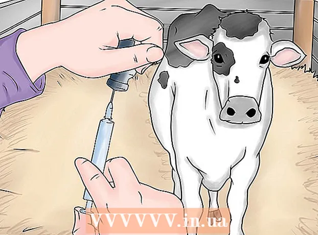 牛を注入する方法