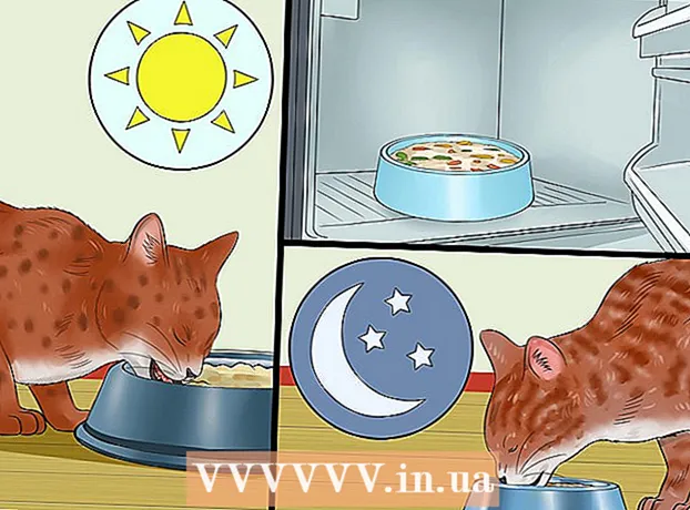 家で猫のために食べ物を作る方法