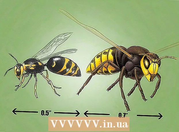 Como identificar uma vespa