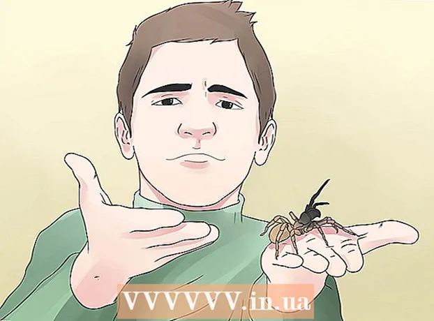 Kā identificēt ctenizīda zirnekli
