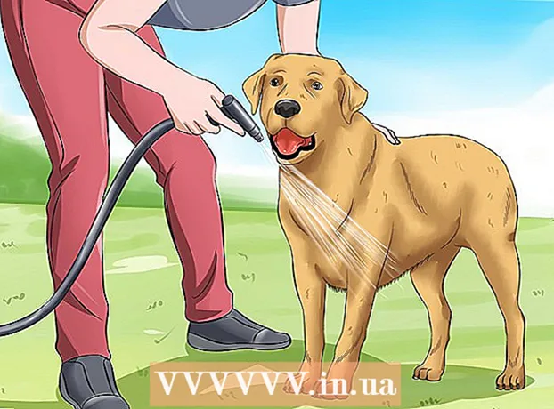 How to bathe your dog to keep it calm