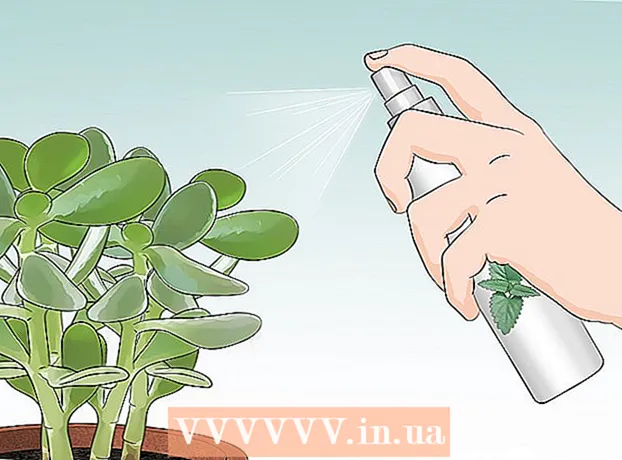 Hvordan bruke mynte til å avvise insekter