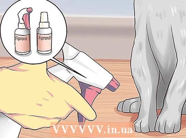How to get rid of ear mites in a cat