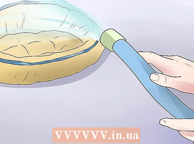 Como se livrar de pulgas e carrapatos em sua casa