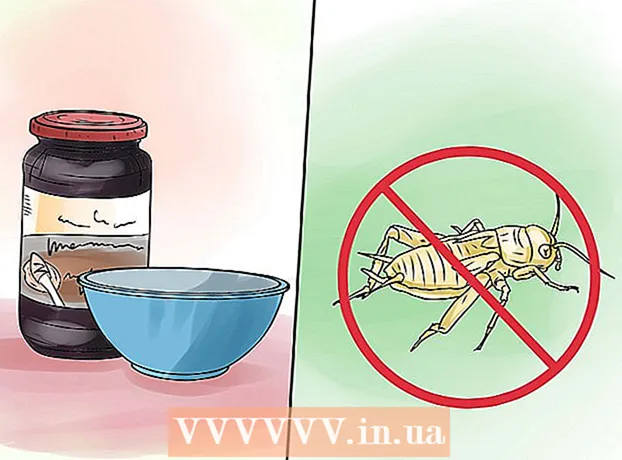 Como se livrar das lagartixas em sua casa