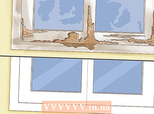 Cara mengusir semut kecil