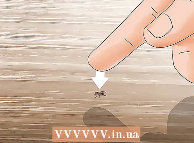Ako sa zbaviť mravcov