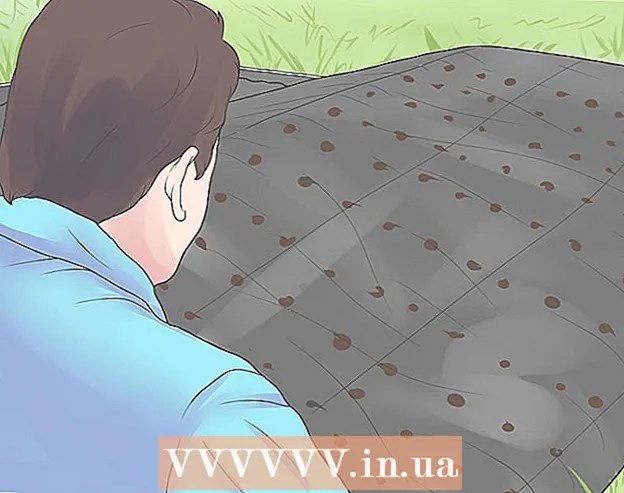Cum să scapi de buruieni în grădină