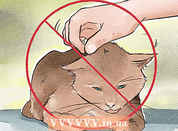 How to Get Rid of Ringworm: Can Natural Remedies Help?
