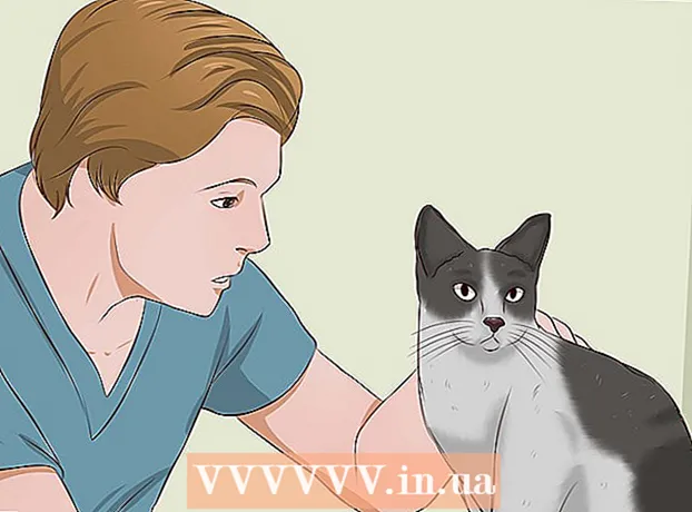 Πώς να απαλλαγείτε από τη μυρωδιά των ούρων της γάτας