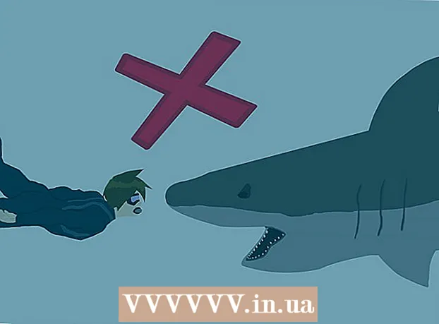 Cara menghindari serangan hiu