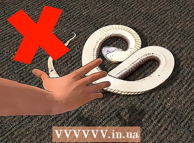 سانپ کے کاٹنے سے کیسے بچا جائے۔