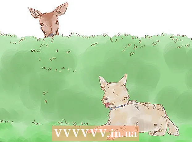 Как да избегнете проникването на елени във вашата градина
