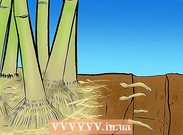 如何控制竹子过度生长