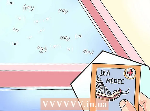 How to feed Artemia