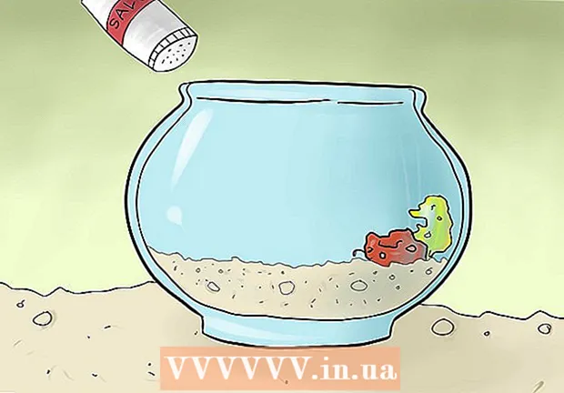 Как да храним раци от пясък