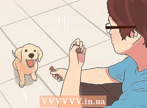 Kaip nusipirkti šuniuką