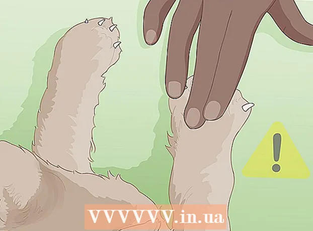 Kaip paglostyti katę
