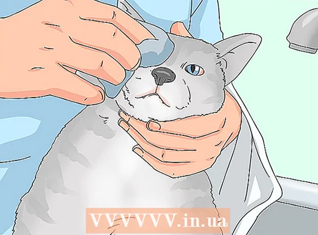 पाण्याने डोळ्यांनी मांजरीचा उपचार कसा करावा