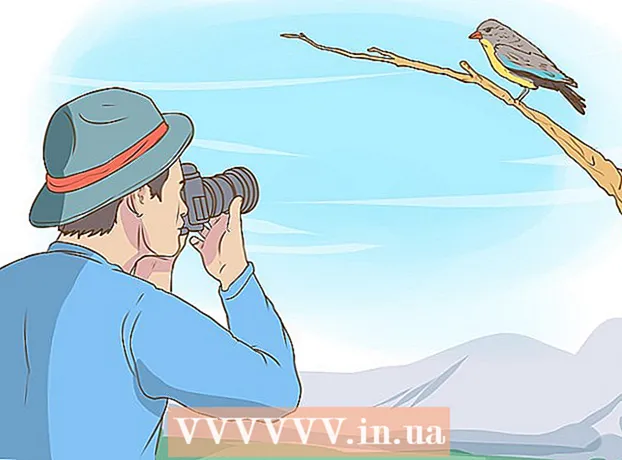 Cara mengamati burung